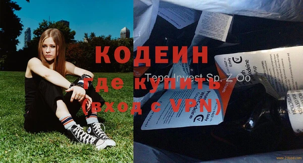 прущие грибы Алексин