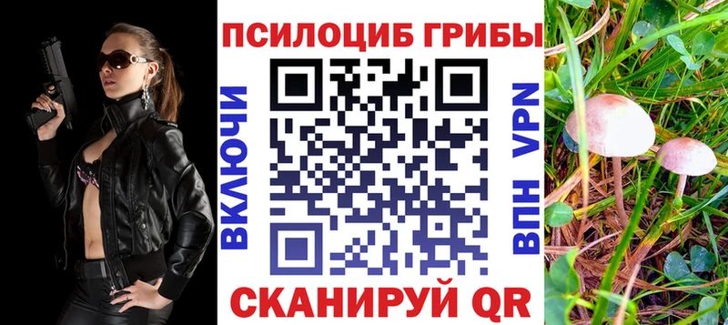 Галлюциногенные грибы GOLDEN TEACHER  Тара 